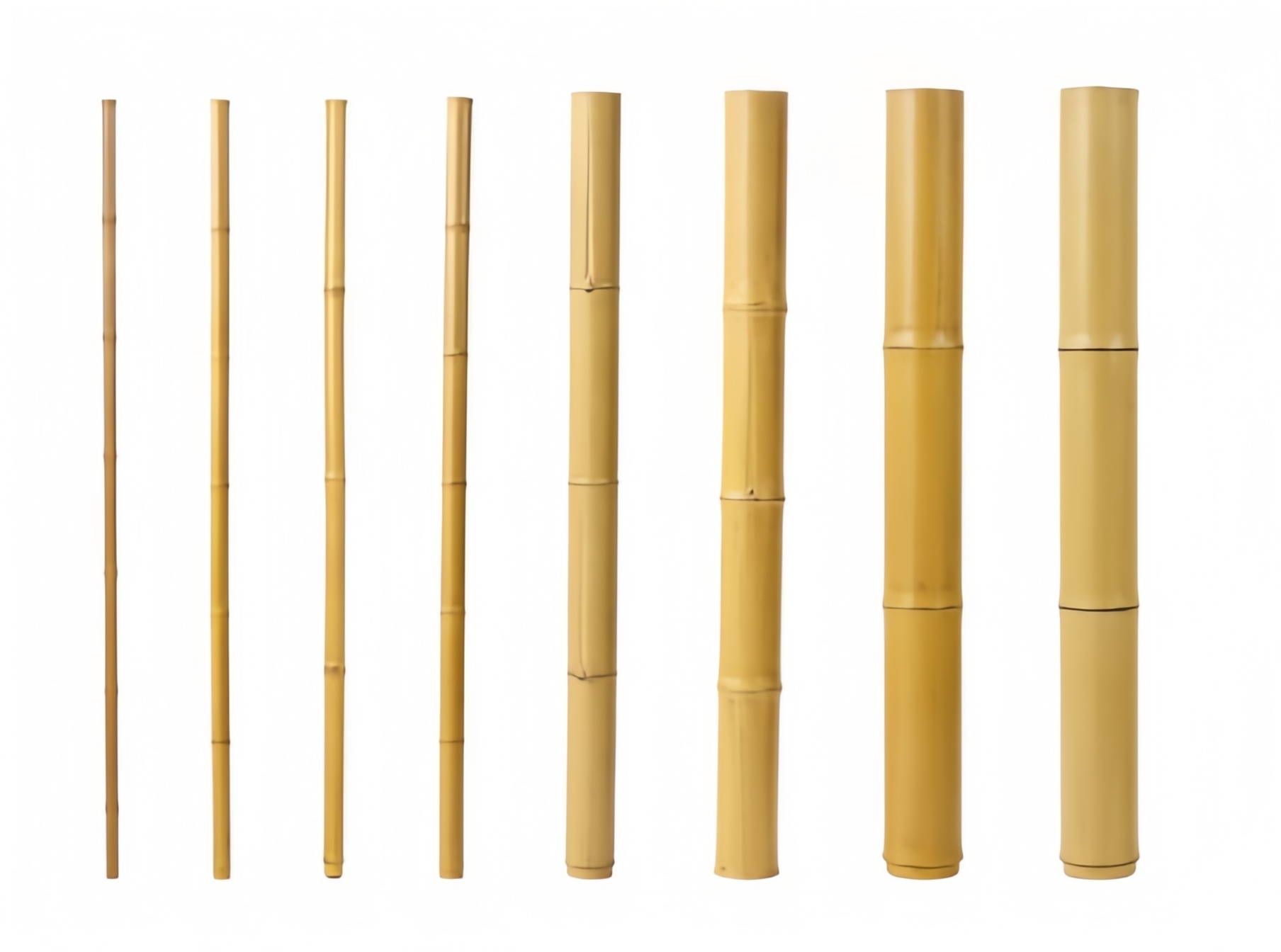 Spliced bamboo pole system showing interlocking connection for adjustable length structures