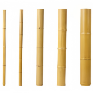 Spliced bamboo pole system showing interlocking connection for adjustable length structures