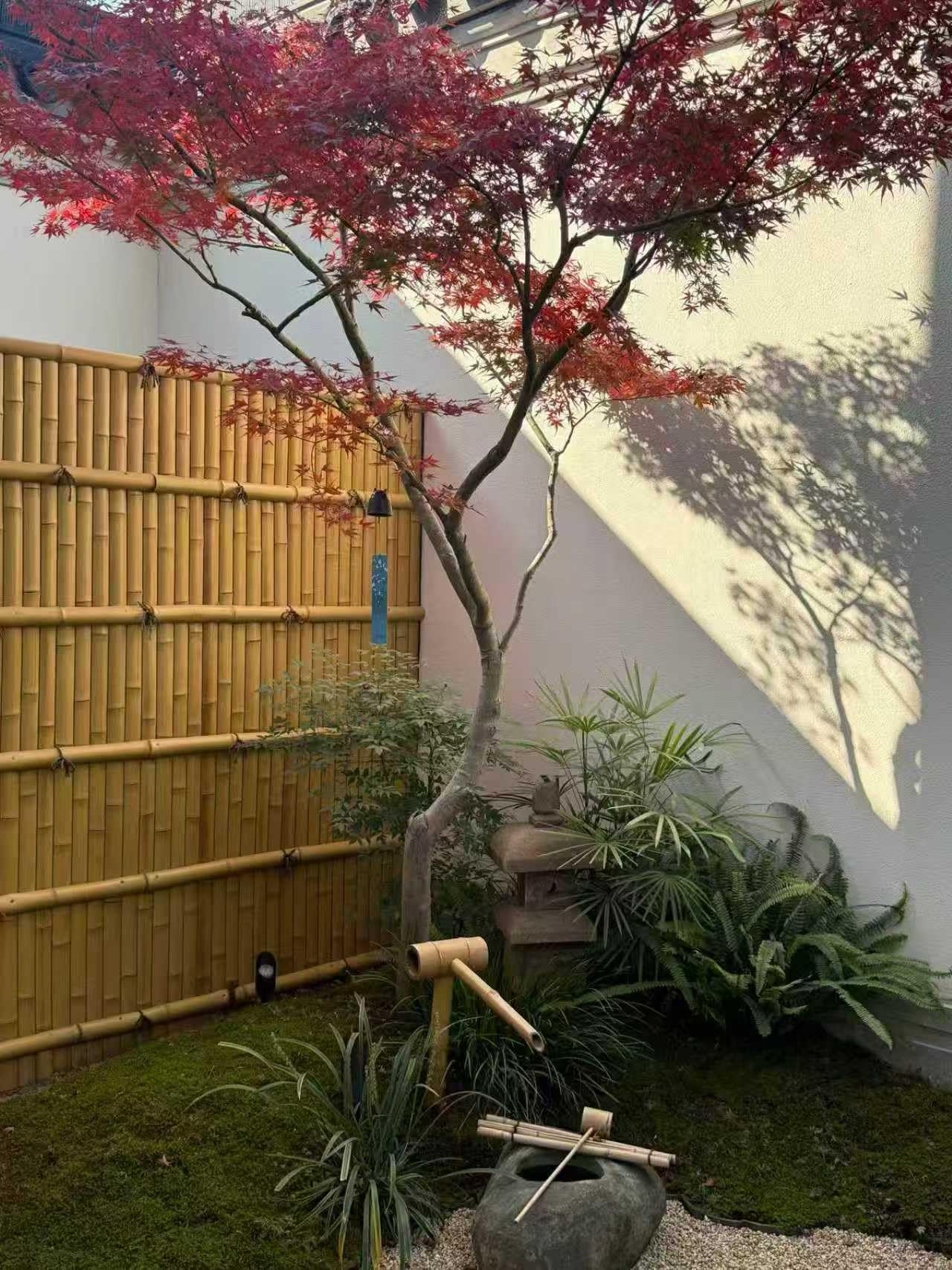 Artificial bamboo trim used as horizontal framing on a bamboo privacy fence in a courtyard with a red maple tree.