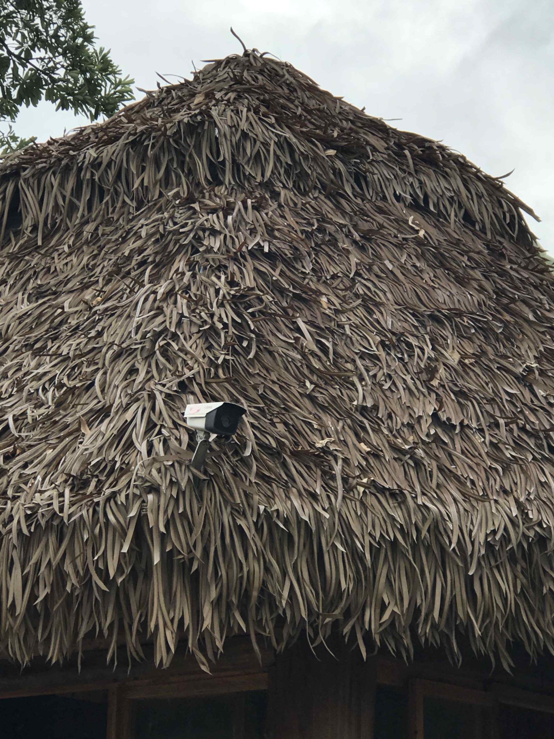 Detailed close-up view of a synthetic straw roof showing individual artificial straw strands and layered texture. A white security camera is mounted on the roof, demonstrating the practicality and durability of modern artificial roofing.
